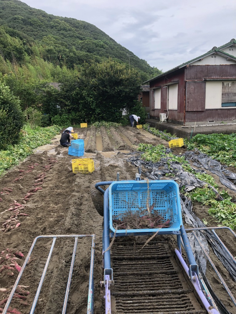 雨続きです