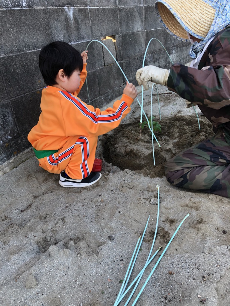 家庭菜園