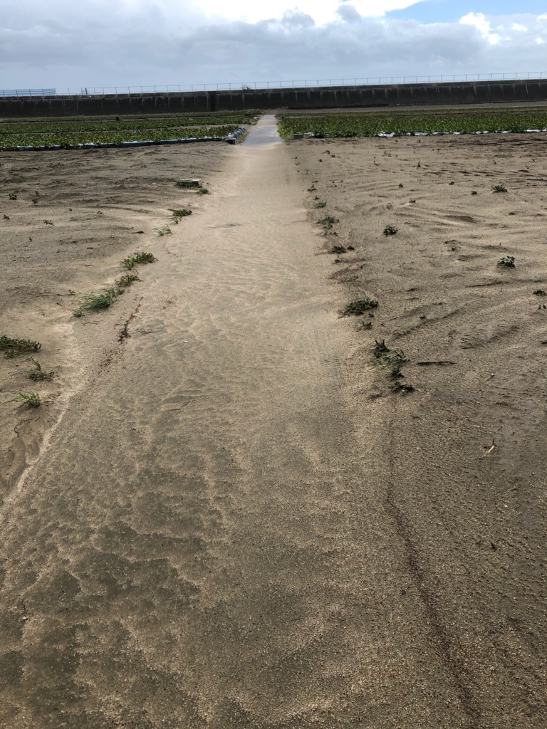 台風被害報告