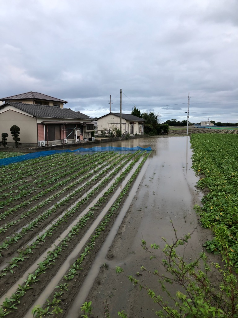 台風被害