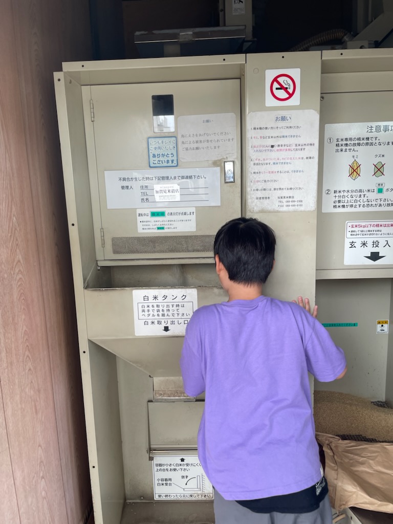 台風の日の過ごし方